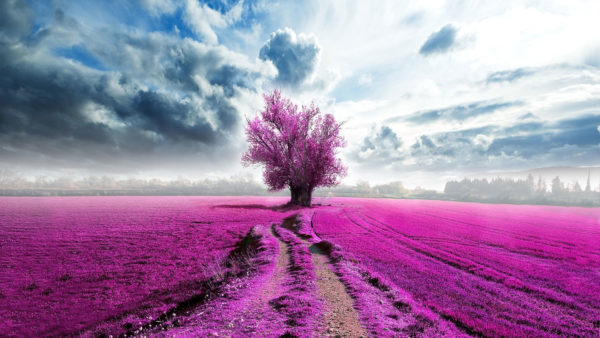 View Background Picture Aesthetic wallpapers for your desktop background