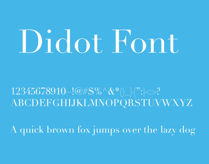 didot-700x551 The 13 Best Resume Fonts To Consider Using On Your CV