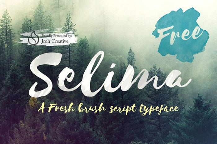 selima-700x466 Hipster fonts to use in your modern and cool designs