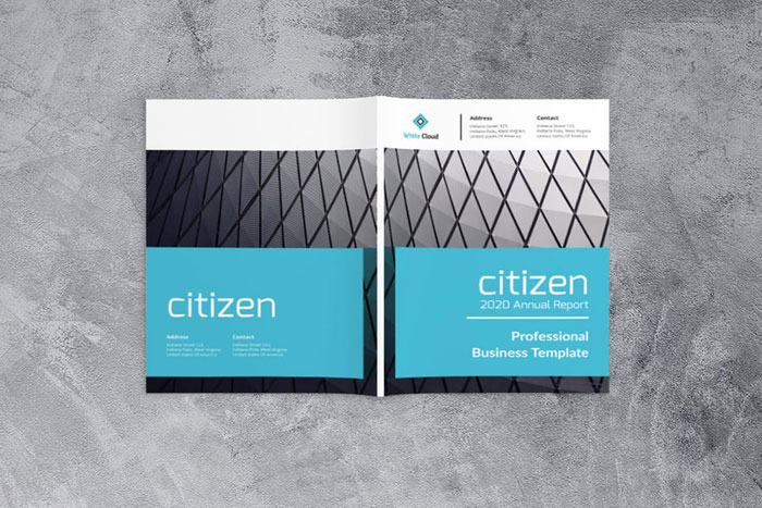Citizen Great looking annual report design examples and templates