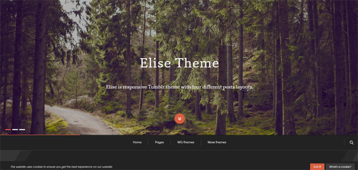 Elise 64 Minimalist Tumblr Themes You Should Make Use Of