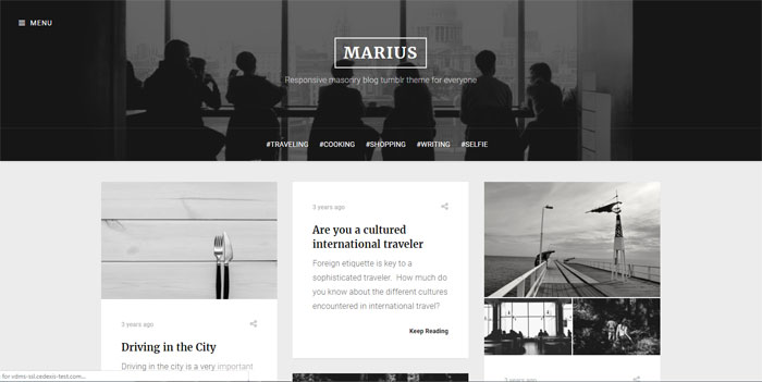 Marius 64 Minimalist Tumblr Themes You Should Make Use Of