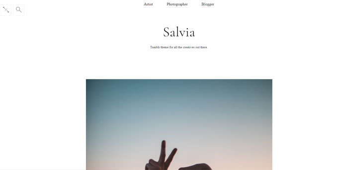 Salvia 64 Minimalist Tumblr Themes You Should Make Use Of