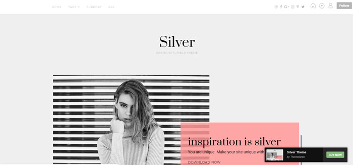 Silver 64 Minimalist Tumblr Themes You Should Make Use Of