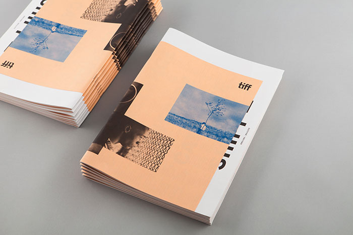 TIFF 56 Annual Report Design Examples And Templates