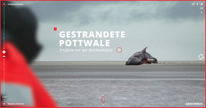 whale-700x370 Showcase of the best nonprofit websites and tips to design one