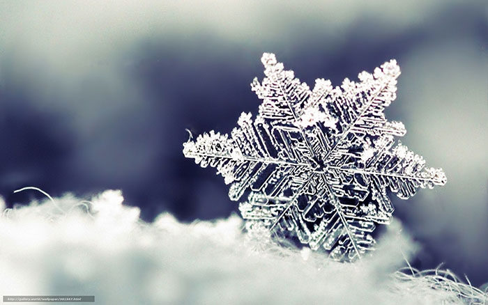 Snowflake-Snow-Winter-1-700x438 Beautiful Christmas wallpapers you should download