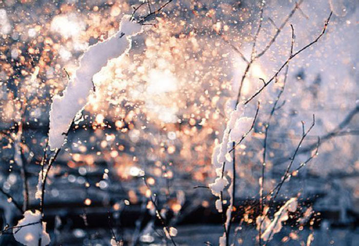 Winter-Snowfall-Wallpaper-700x481 Beautiful Christmas wallpapers you should download