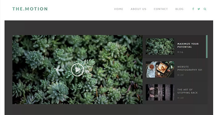 motion-700x373 Free feminine WordPress themes you should check out