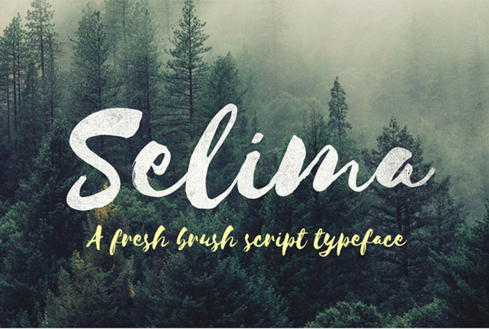 Selima 27 Rustic Fonts For Creating Thematic Designs