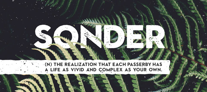 Sonder An awesome set of rustic fonts: Download them from this article