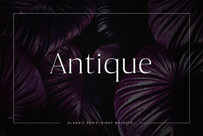 antique-700x467 Fonts similar to Times New Roman: Alternatives to use