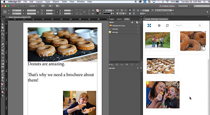 dam2-700x383 Illustrator vs InDesign: What's the difference and which is better