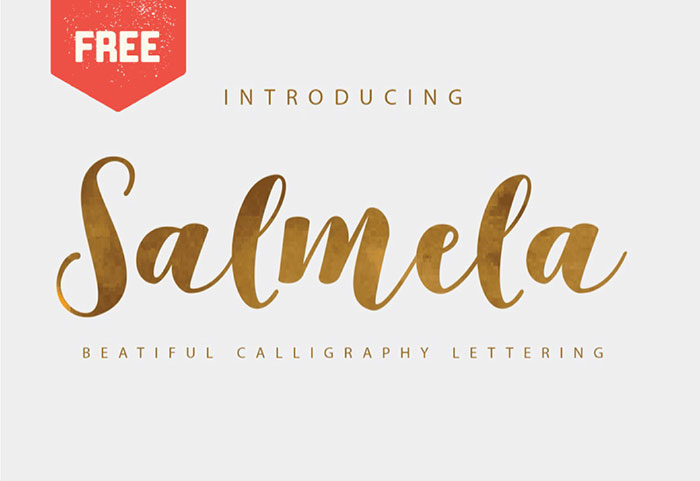 salmela-700x481 Cool feminine fonts to download and use in your projects