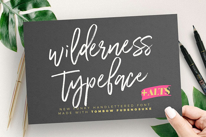 wilderness-700x466 Cool feminine fonts to download and use in your projects