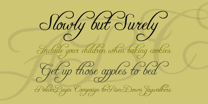 Freeboter-script Wedding fonts to create awesome print materials for the party