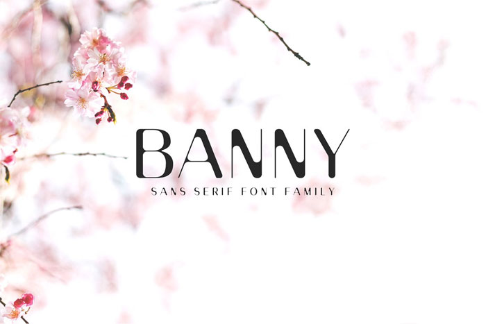 Banny Rounded fonts examples to use in modern designs