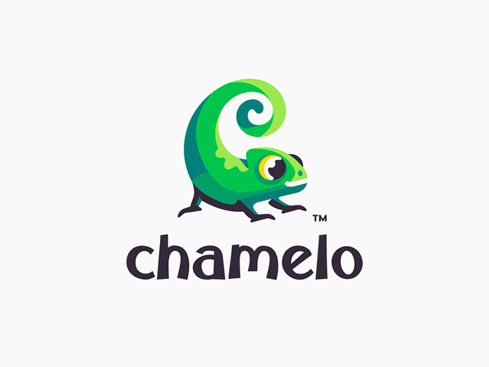 chameleo-1_2x Logo color combinations that look great and you should try