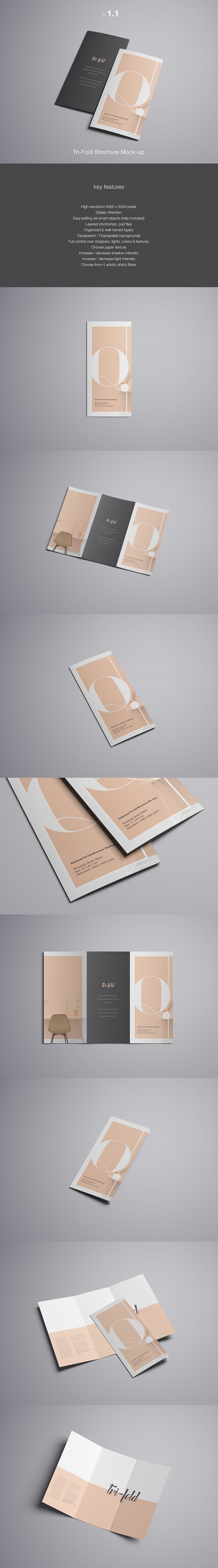 p10-1 Great brochure mockup examples you could download right now