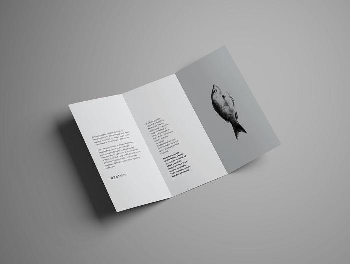 p14-1 Great brochure mockup examples you could download right now