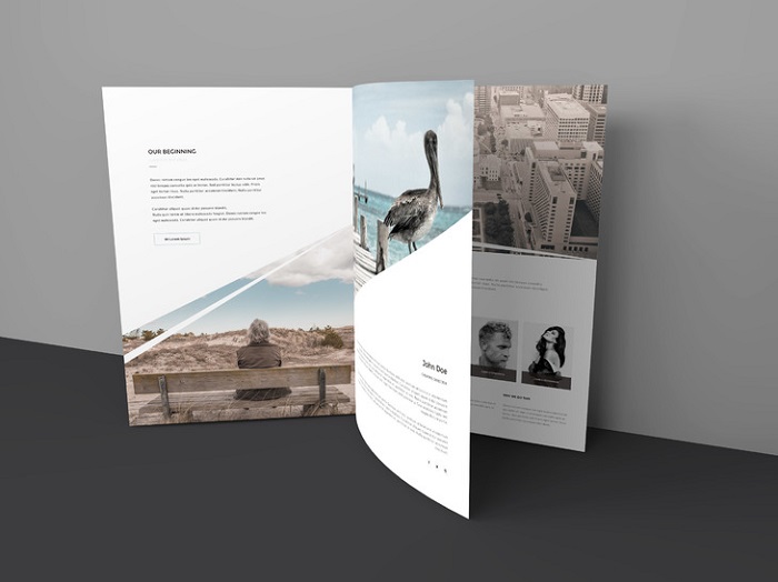 p17-1 Great brochure mockup examples you could download right now