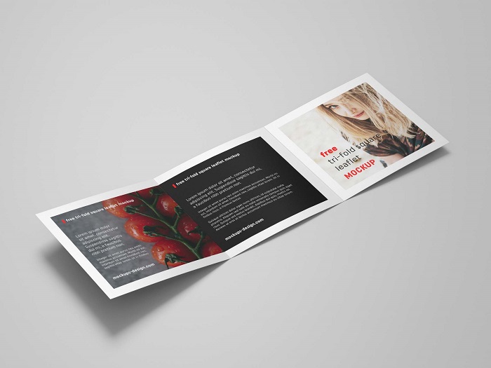 p8 Great brochure mockup examples you could download right now