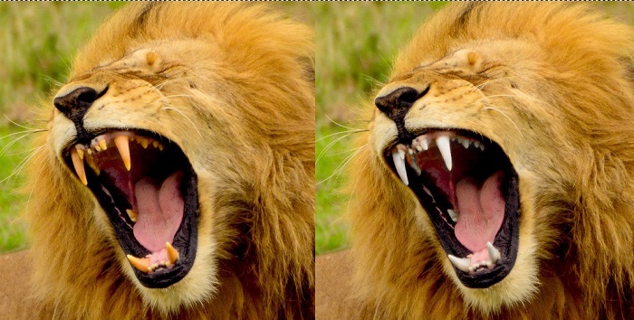 s1-2 How to whiten teeth in Photoshop and make a picture look better
