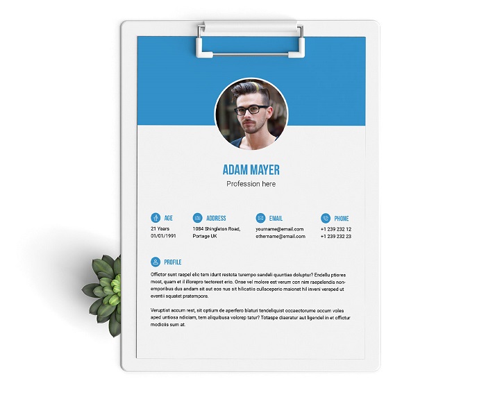 s1-377 InDesign resume template examples that look absolutely great