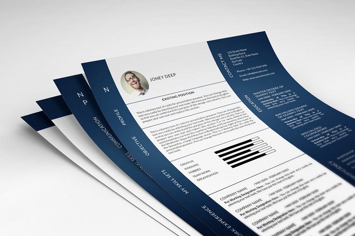 s1-381 InDesign resume template examples that look absolutely great