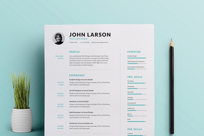 s1-401 Minimalist resume template examples you could download
