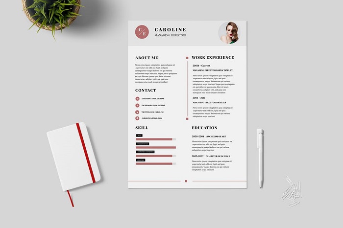 s1-402 Minimalist resume template examples you could download