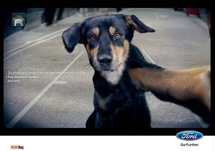 use-animals-700x494 The best print ads that you will see today (55 examples)