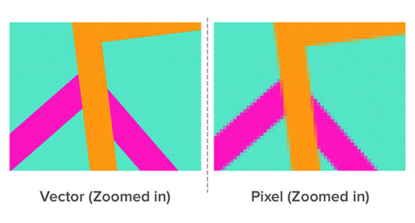 Sketch vs Illustrator, which one is a must buy for a designer?