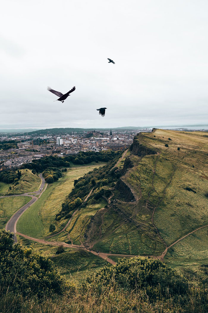 crows-fly-over-hills Landscape wallpaper examples for your desktop background