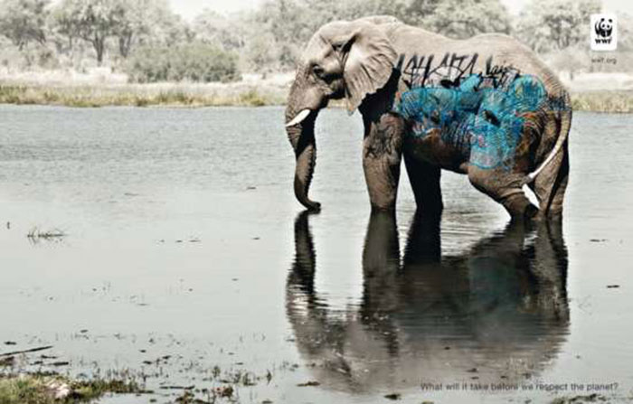 Endangered-Species Creative WWF ads that will surprise you with their message