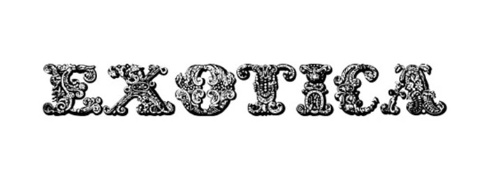 exotica 30 Steampunk Fonts to Use for Creating An Awesome Design