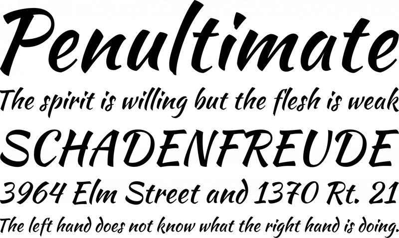 Kaushan-Script-Font The 50 best free fonts on Font Squirrel you must have