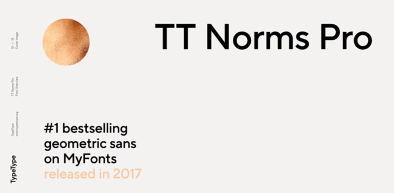 TT-Norms-Pro 19 Fonts Similar To Avenir That Will Get The Job Done