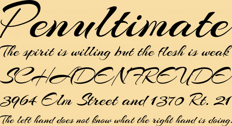 sp-720x400-333333-penultimate@2x-1 The 50 best free fonts on Font Squirrel you must have