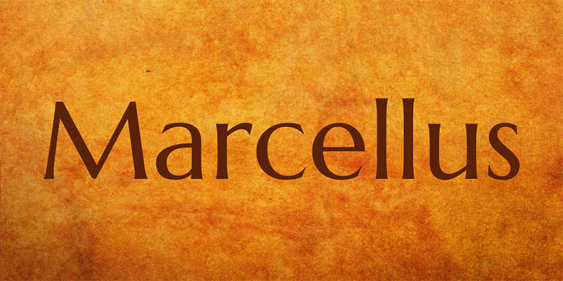 Marcellus-Font-Simplifying-details 15 Fonts Similar To Trajan That You Can Use In Your Designs