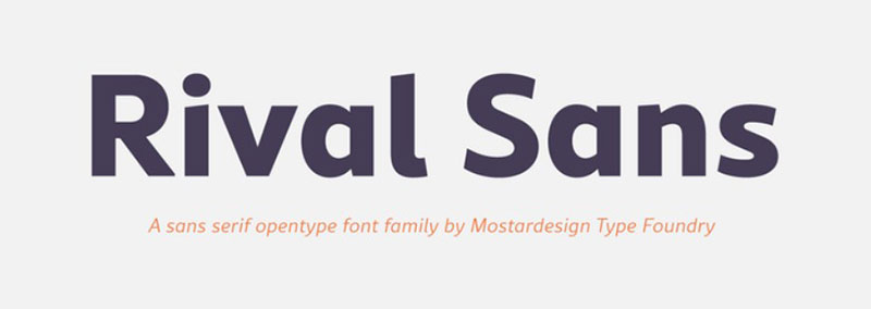 Rival-Sans-Versatility-in-one-package 22 Fonts Similar To Lato To Use In Your Awesome Designs