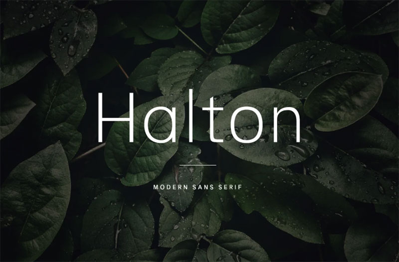 Halton-Modern-Sans-Serif-Typeface Fonts similar to Lato to use in your awesome designs