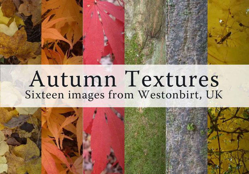 16-Cold-Fall-Leaves-Textures-All-kinds-of-trees Fall background images to use in your projects