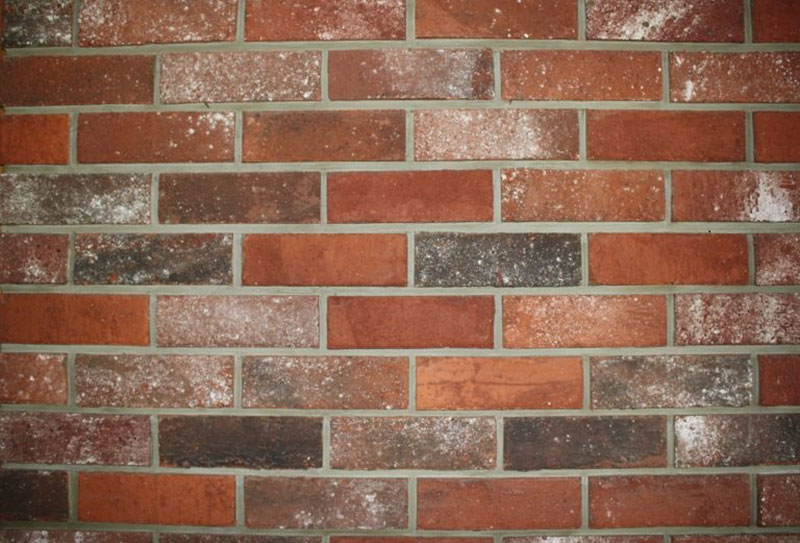 1Red-Brick-Wall-Texture-A-Round-Perspective Download a free brick wall background image now