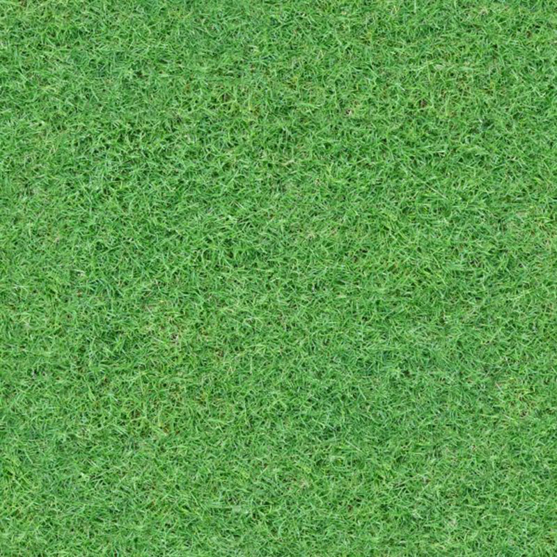 Amazing-Grass-Texture-–-An-image-full-of-details Awesome grass background images to check out now