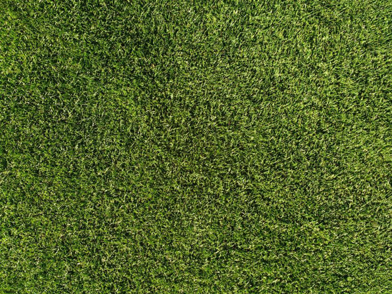 Grass-Lawn-Texture-Keeping-the-lawn-well-groomed Awesome grass background images to check out now