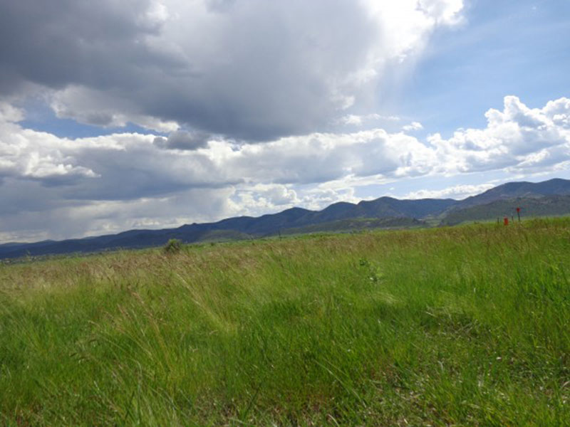 Green-Meadow-with-Mountains-in-Background Awesome grass background images to check out now
