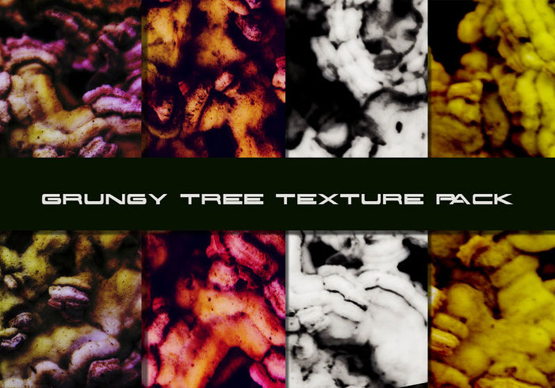 Grungy-Tree-Texture-Pack Awesome and free nature background images