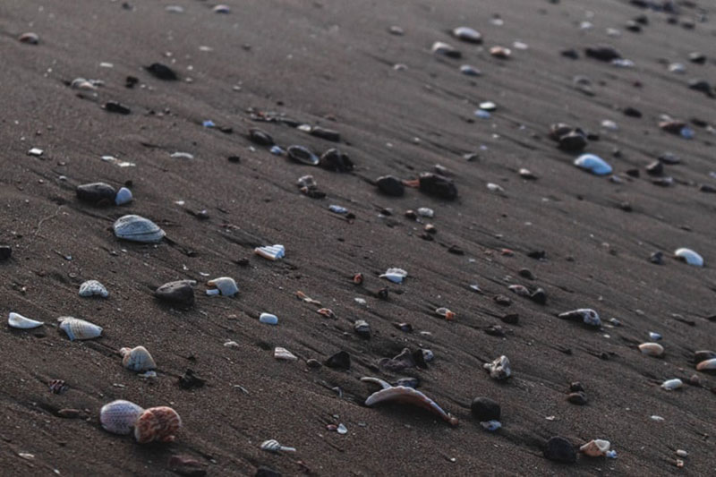 Sand-and-shells-1 Beach background images that you can use for free