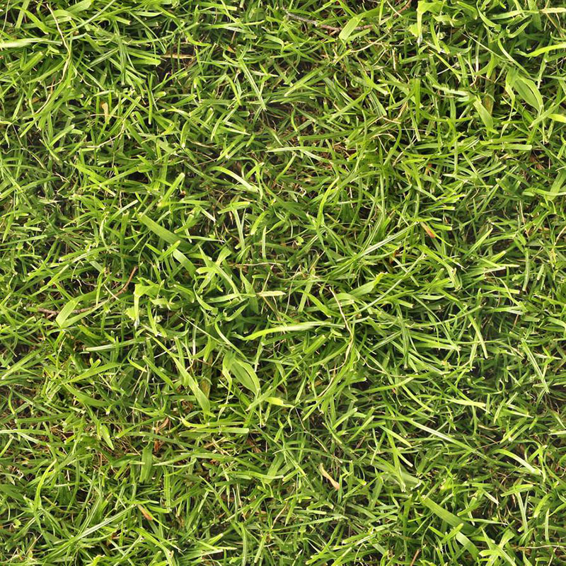 Seamless-Grass-Texture-Collective-knowledge Awesome grass background images to check out now